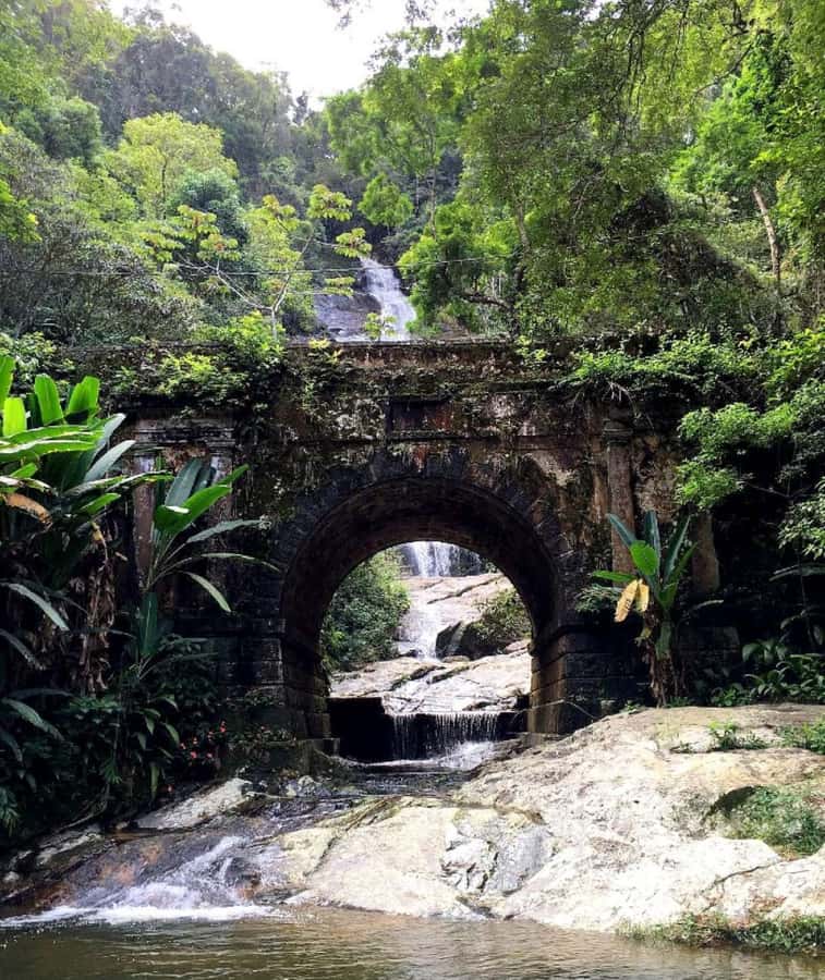 Tijuca Forest´s hike: caves, waterfalls and great views - Uphill trails, ruins, and rainforest details that make the walk worth it