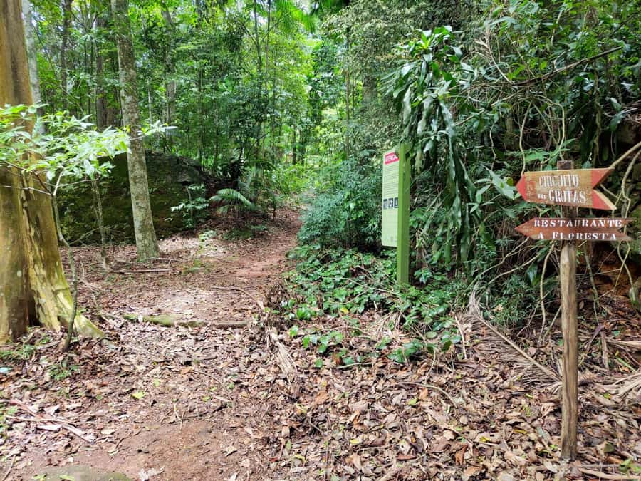 Tijuca Forest´s hike: caves, waterfalls and great views - The cave circuit: a fun challenge with stated safety