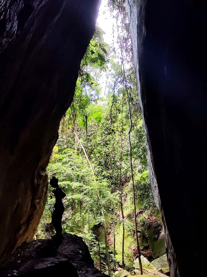 Tijuca Forest´s hike: caves, waterfalls and great views - Views and animal moments happen when you slow down