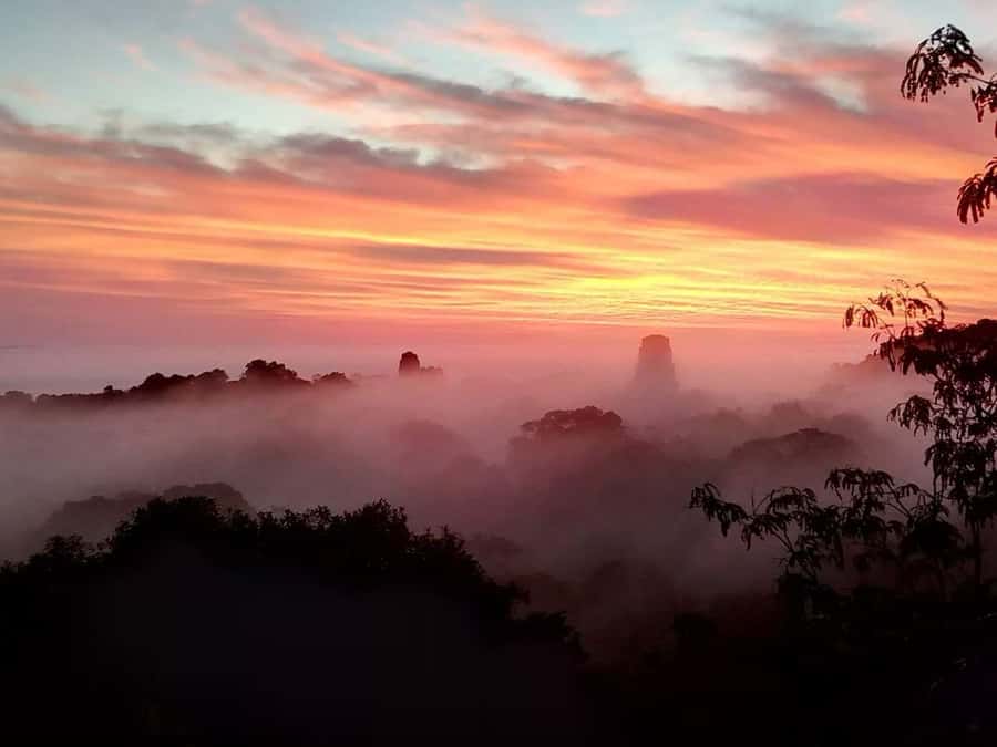 Tikal Privade Tour all included - Tikal Private Tour From Flores: What makes it run smoothly