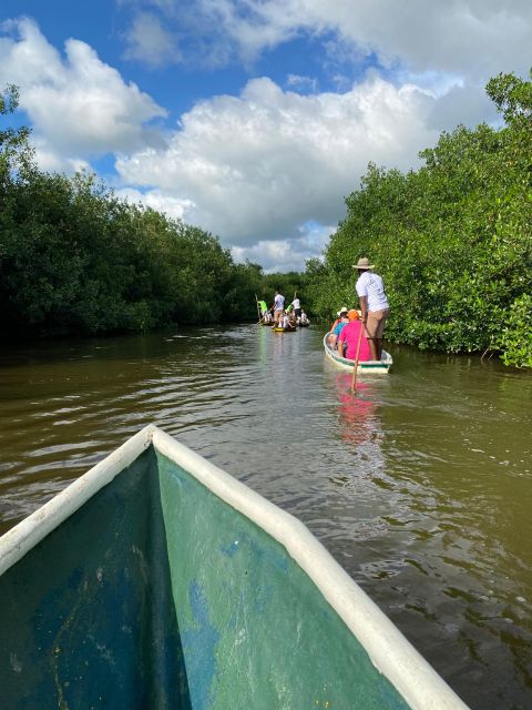 Typical lunch on beach, mangrove tour & fishing with natives - Drums and cultural sampling: short, real, and not too performative