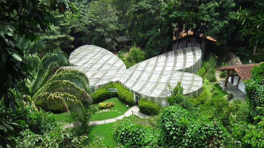 Walking tour José Celestino Mutis Botanical Garden 3 hrs - Key highlights to know before you go