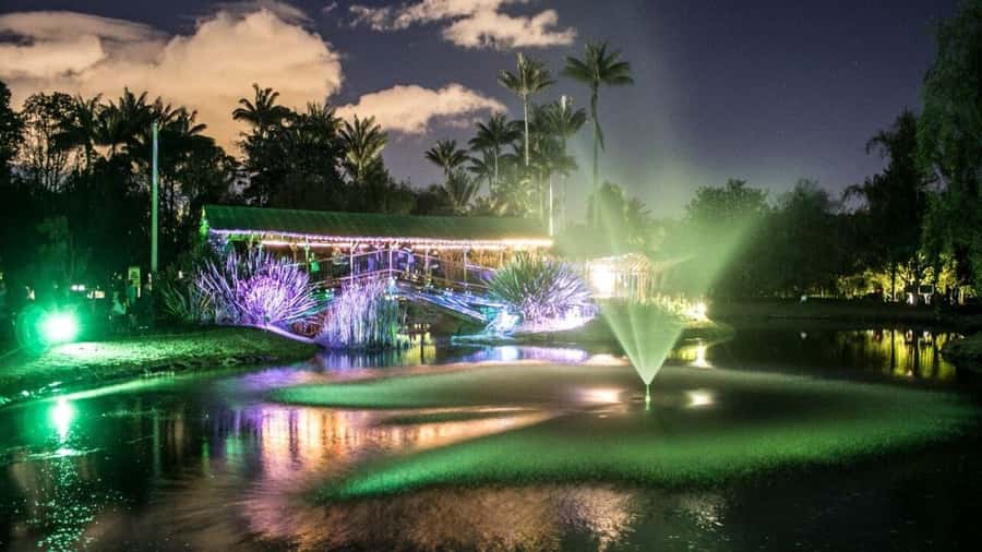 Walking tour José Celestino Mutis Botanical Garden 3 hrs - Beyond plants: wildlife, conservation, and why you should care