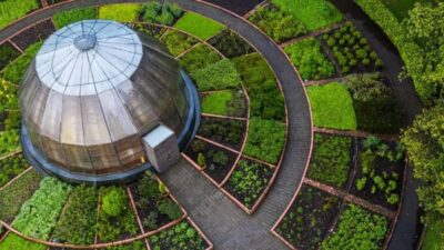 Walking tour José Celestino Mutis Botanical Garden 3 hrs - The orchid exhibit: why it’s the big draw